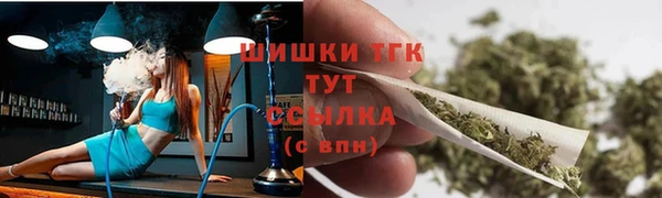 ECSTASY Костерёво