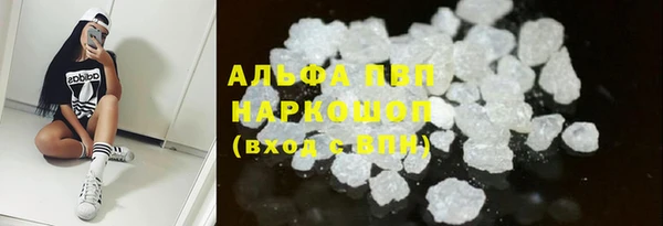 ECSTASY Костерёво