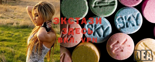 ECSTASY Костерёво